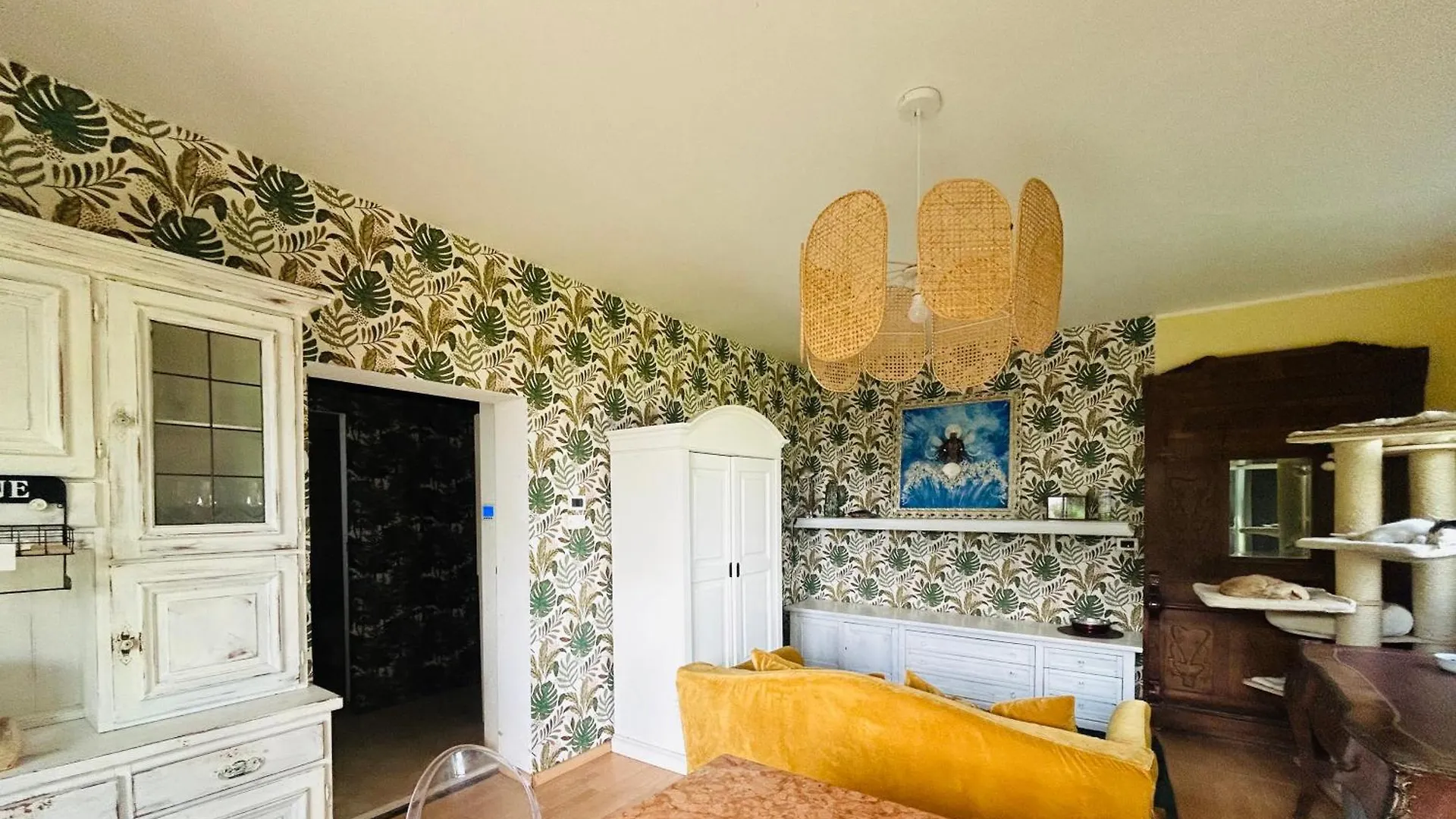 Feline Bliss In Bologna Hills A Sanctuary Hosted By Cats Apartment San Lorenzo in Collina