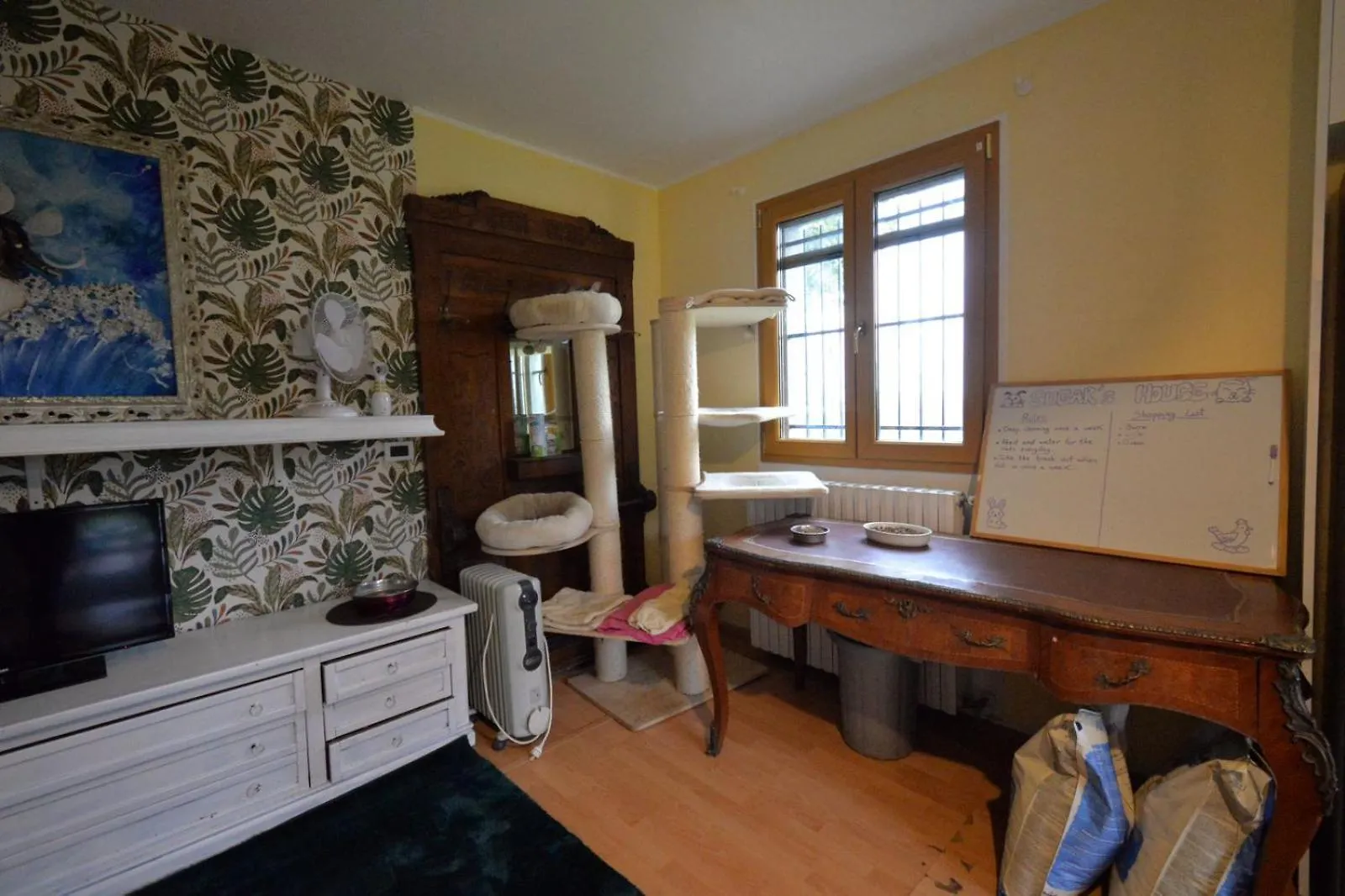 Feline Bliss In Bologna Hills A Sanctuary Hosted By Cats Apartment San Lorenzo in Collina