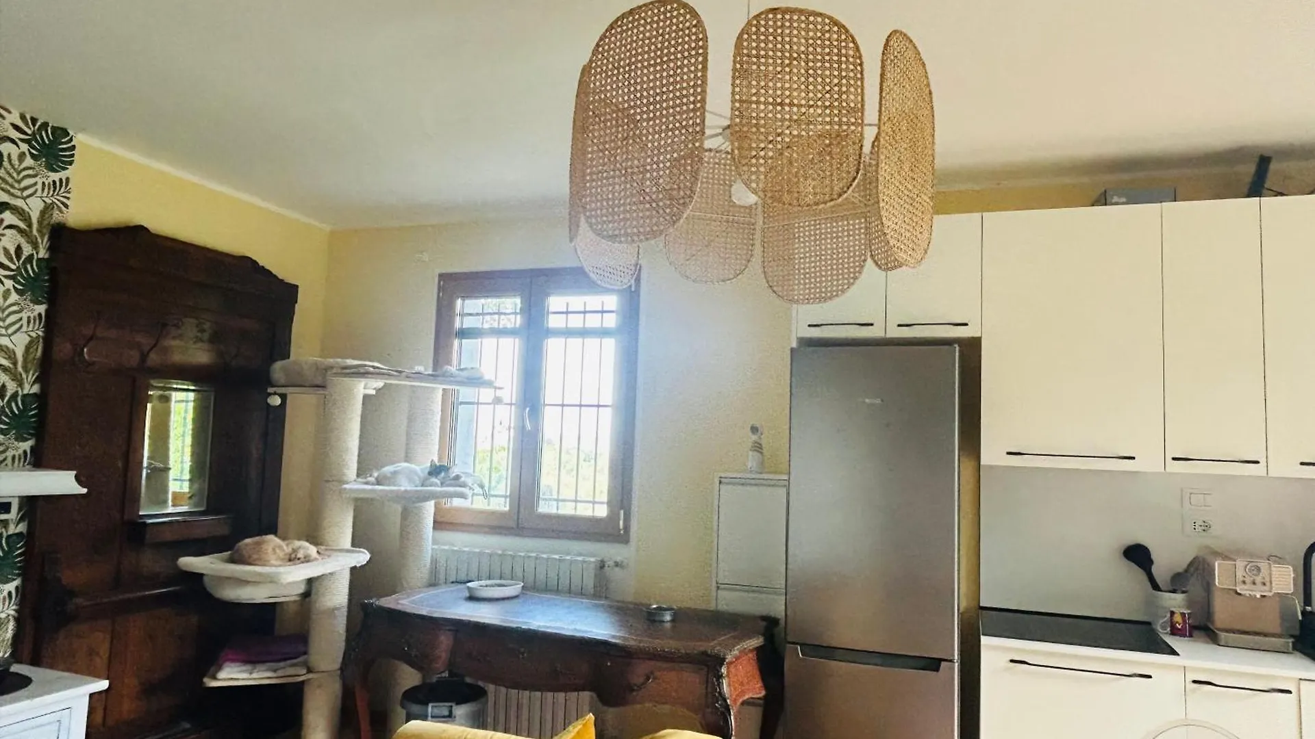 Feline Bliss In Bologna Hills A Sanctuary Hosted By Cats Apartment San Lorenzo in Collina