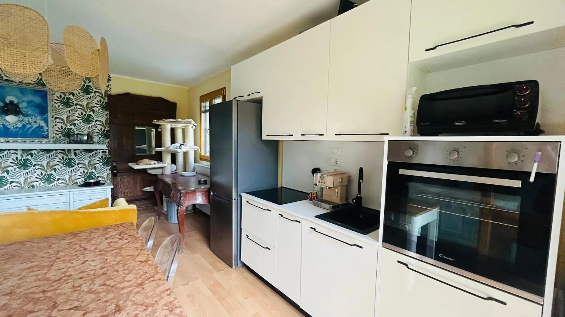 Feline Bliss In Bologna Hills A Sanctuary Hosted By Cats Apartment San Lorenzo in Collina
