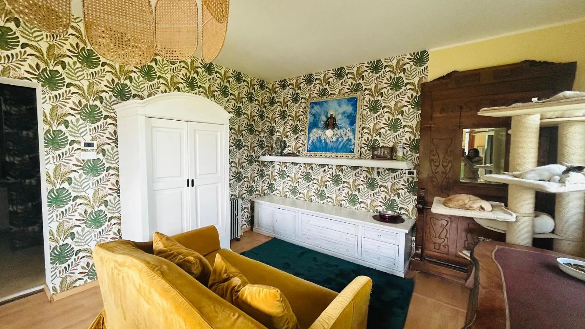 Feline Bliss In Bologna Hills A Sanctuary Hosted By Cats Apartment San Lorenzo in Collina 0*,